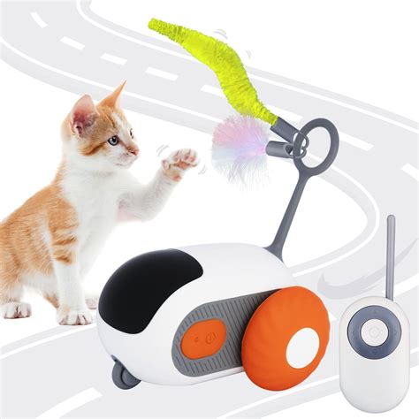cat Toy Two.